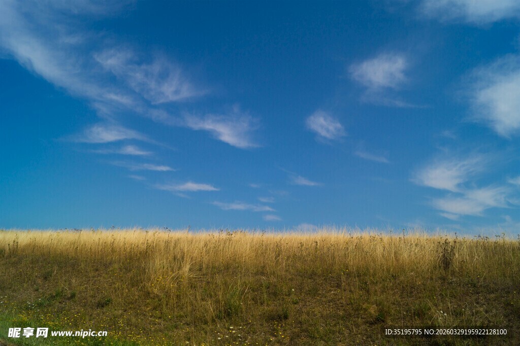 广阔田野上的蓝天白云
