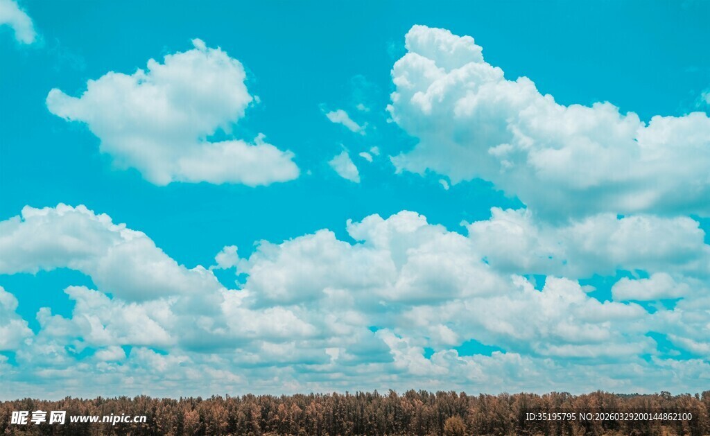 蓝天白云下的开阔景致