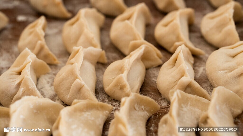 手工饺子整齐排列