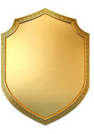 金色盾牌图标