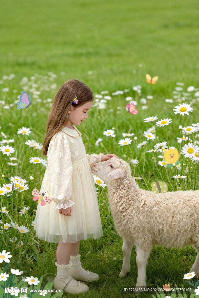 小女孩与小羊的温馨瞬间