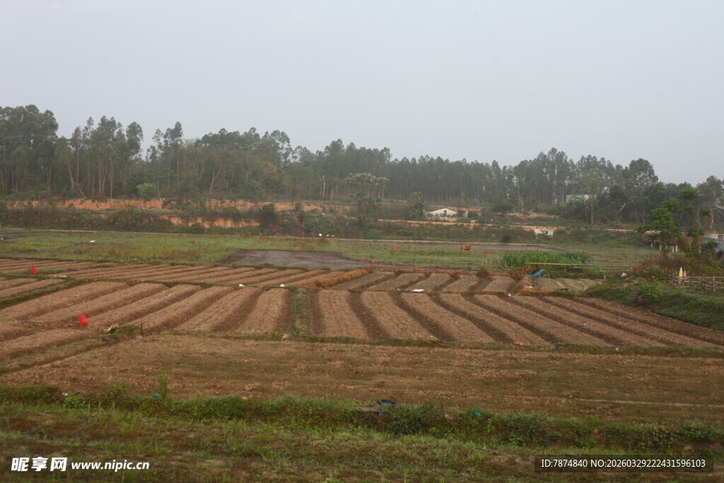湛江乡村田野风光