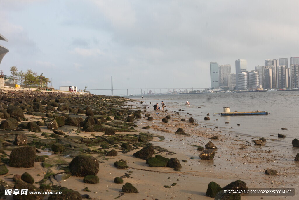 湛江海滨滩涂风光