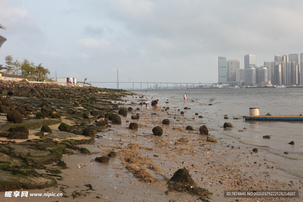 湛江海滨礁石与远处城市景观