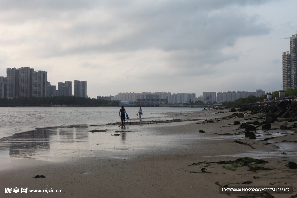 湛江城市岸边的静谧水域景象