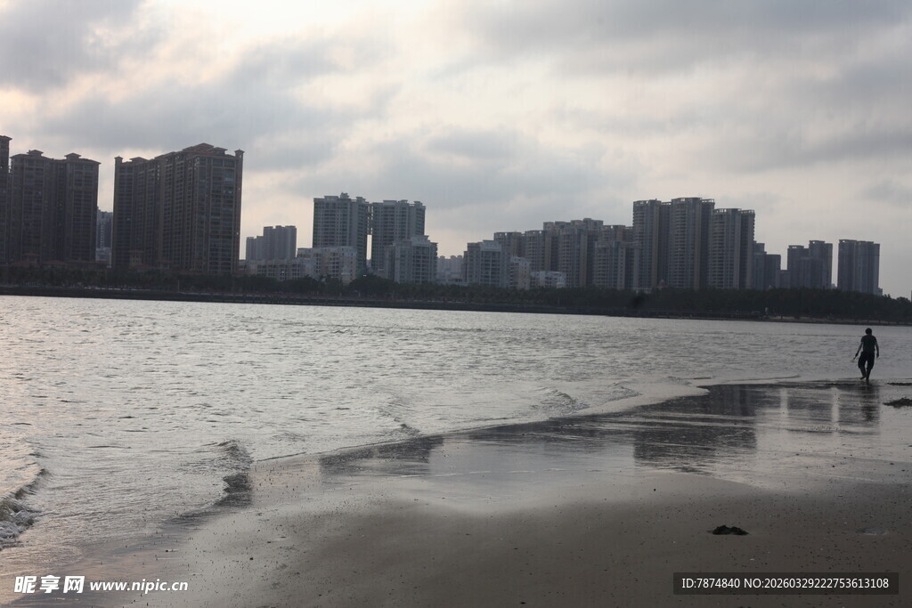 湛江城市水边景色与飞翔海鸥