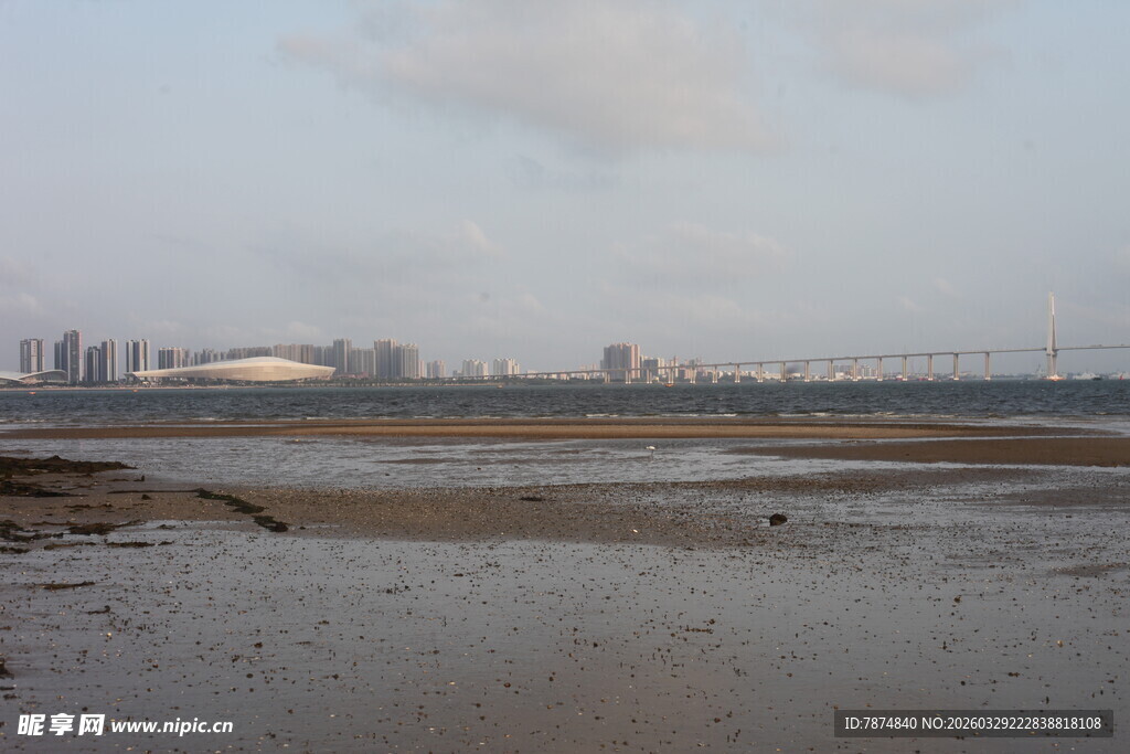 湛江冬日河畔浅滩风景