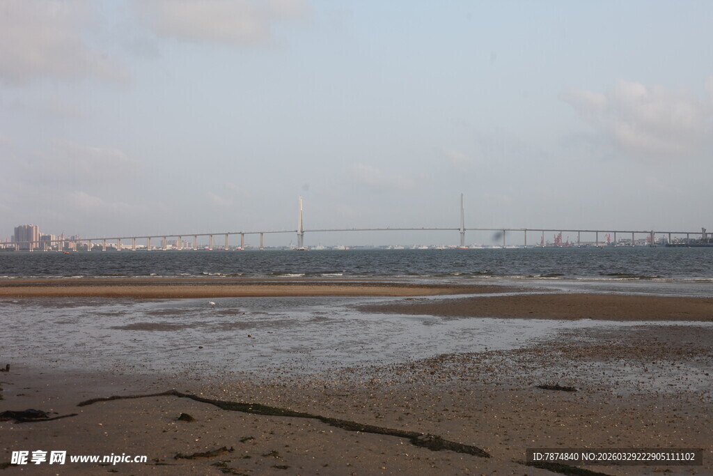 湛江海边滩涂景色