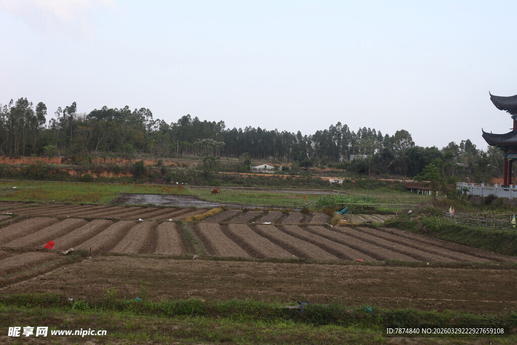 湛江田园风光中的古朴建筑