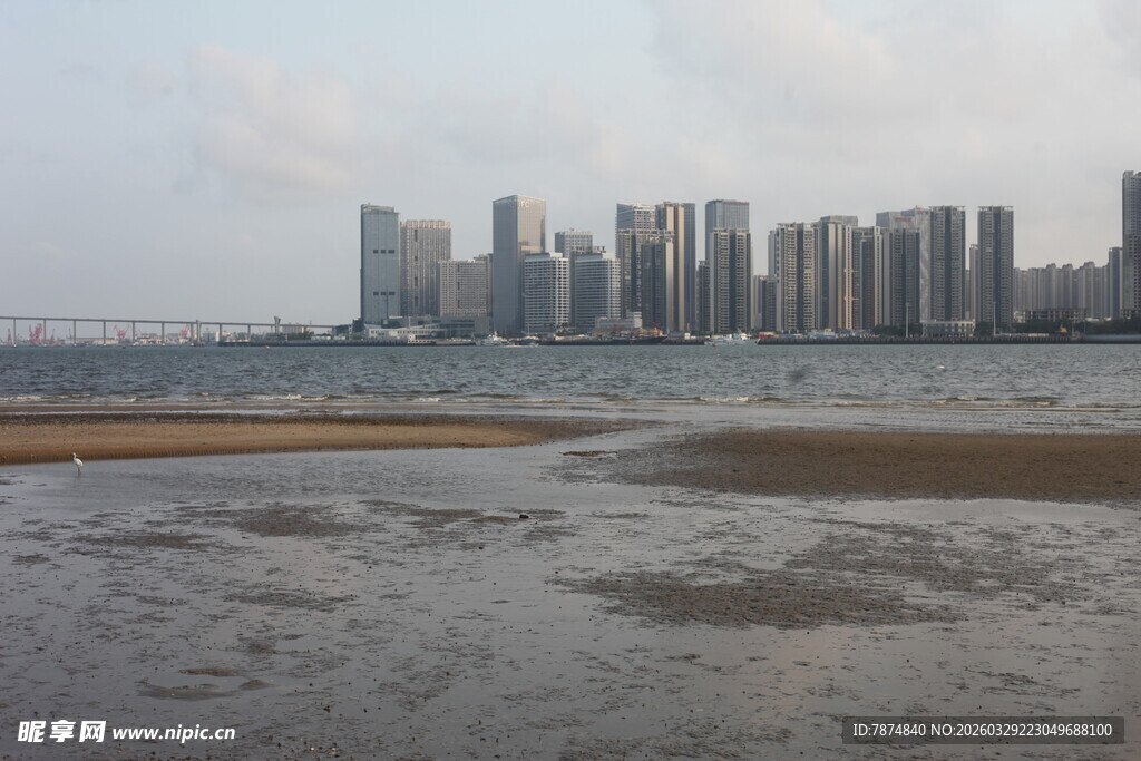 湛江城市江畔滩涂风光