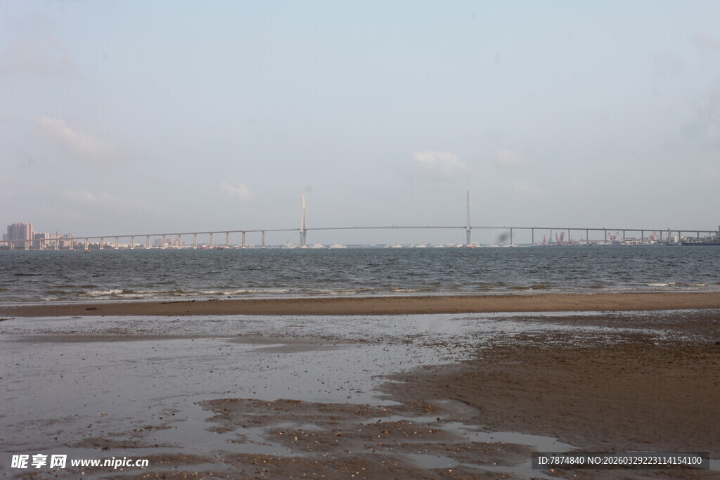 湛江江边滩涂远景