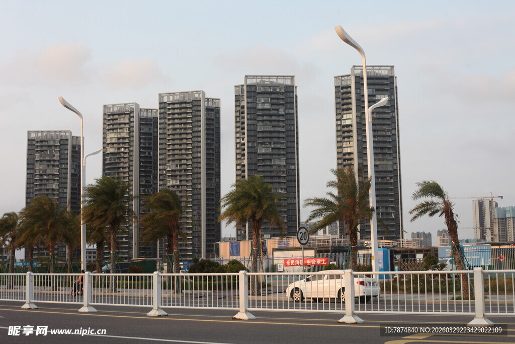 湛江城市高楼与街边棕榈树景观