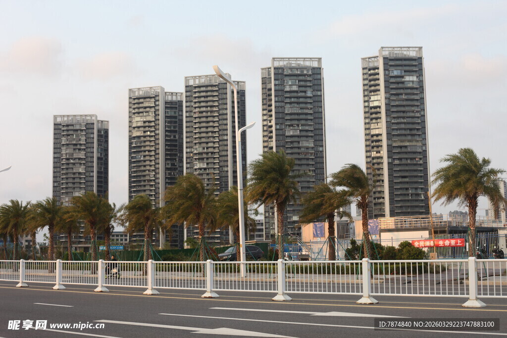 湛江城市高楼与街边棕榈树景观