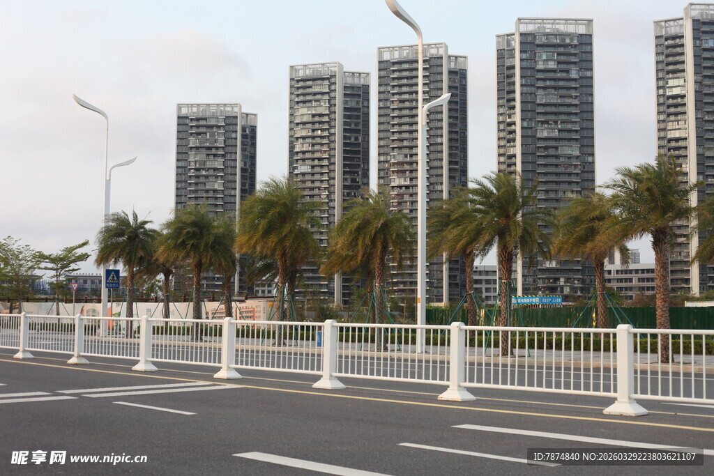 湛江城市道路旁的现代高楼景观