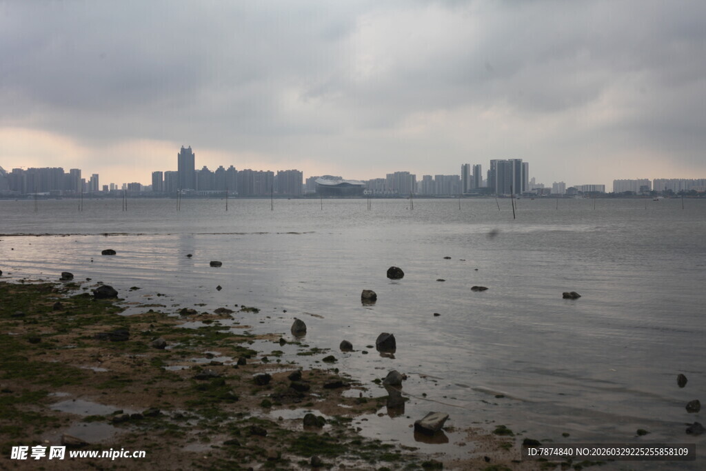 湛江江边城市景观 水面礁石