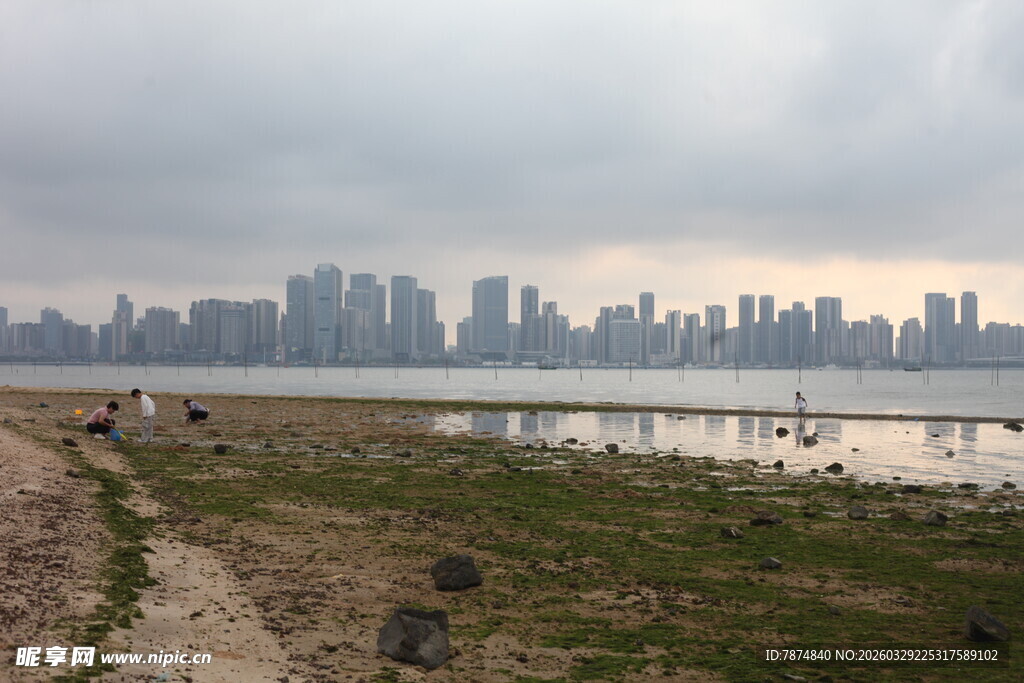湛江城市江畔风景