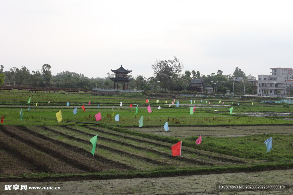 湛江农田彩色标识物整齐排列