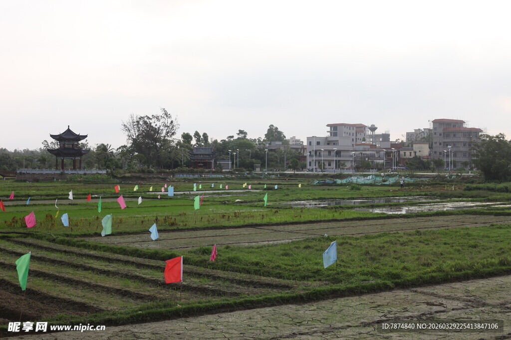湛江农田彩旗景观