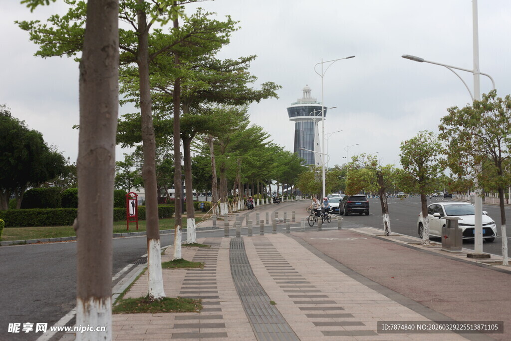 湛江城市街道旁的绿树与建筑