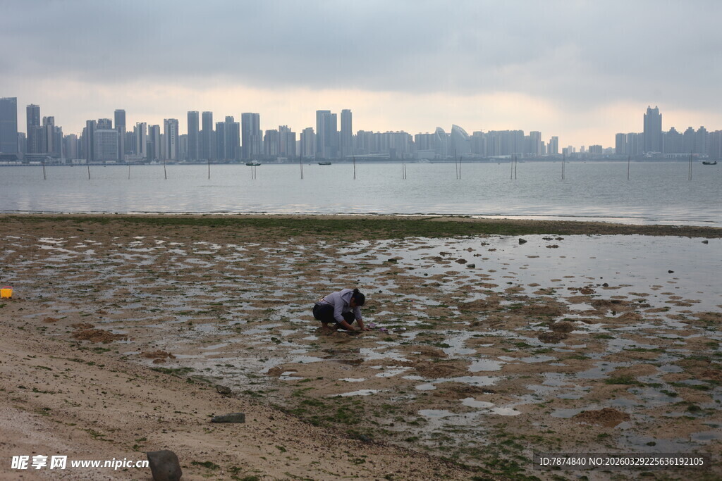 湛江城市边滩涂处的劳动者