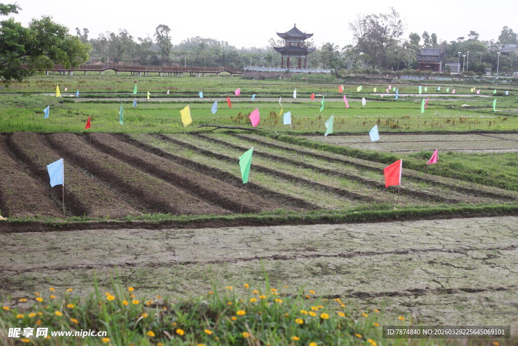 湛江农田劳作场景