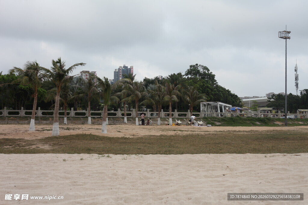 湛江海滨沙滩与棕榈树景观
