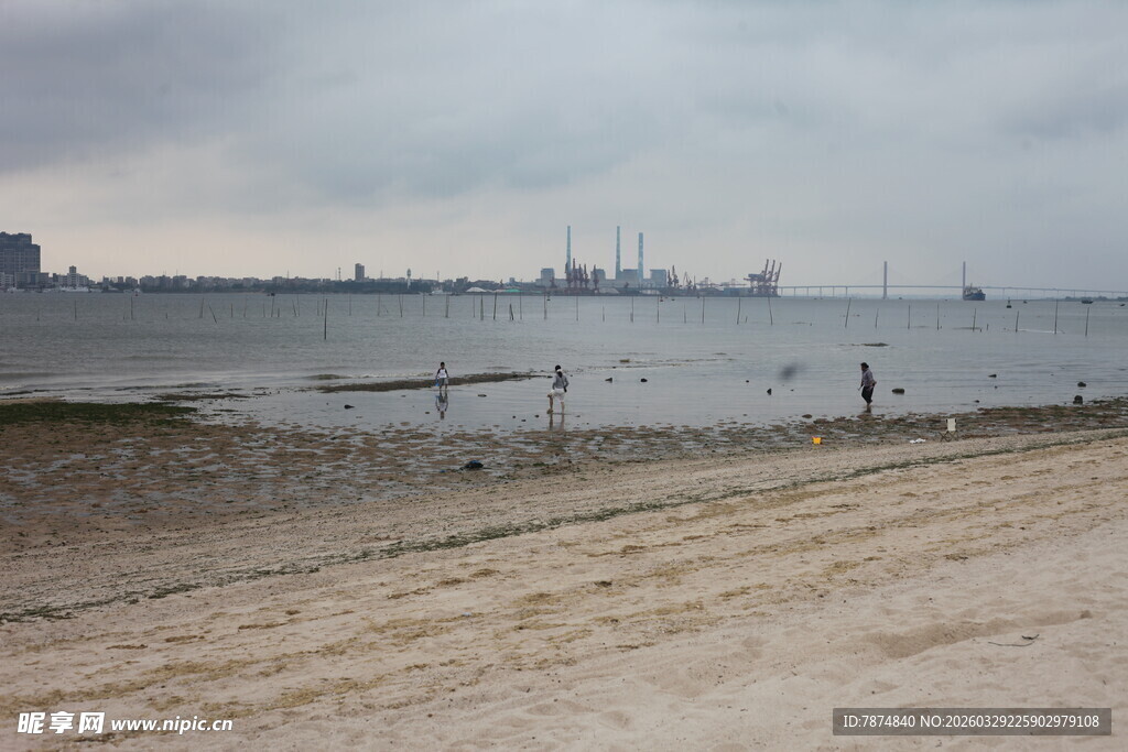 湛江海滨沙滩上的静谧景象