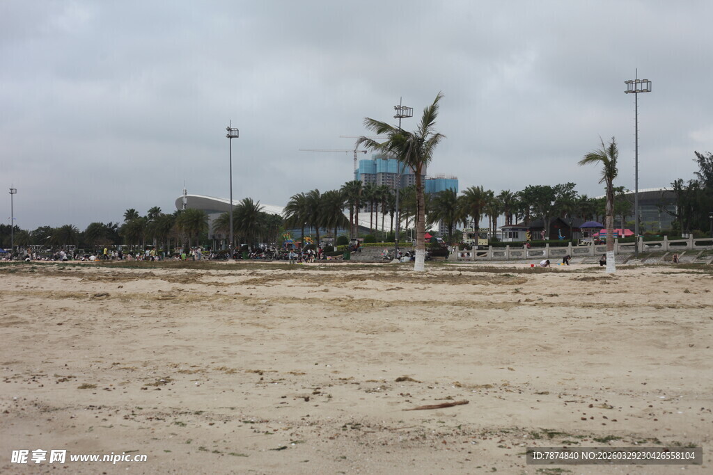 空旷沙滩上的棕榈树与游乐设施