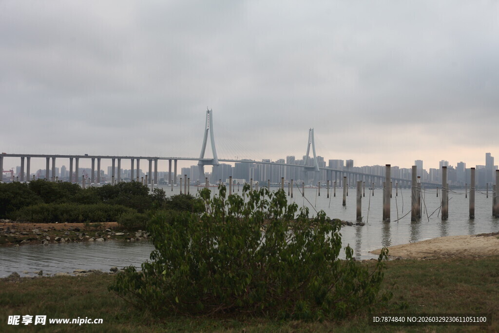 湛江江边大桥与城市天际线景观
