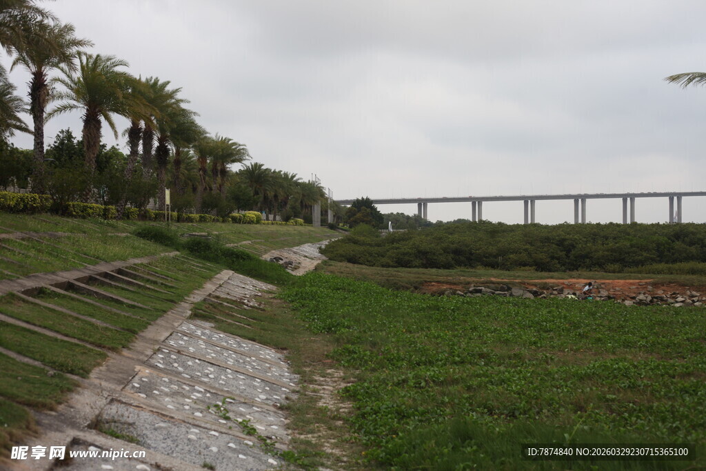 湛江田园风光中的蜿蜒小路