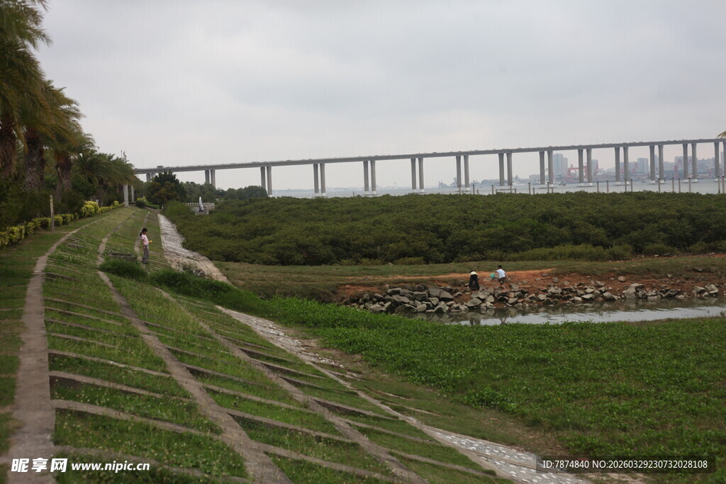湛江田野旁的高架桥
