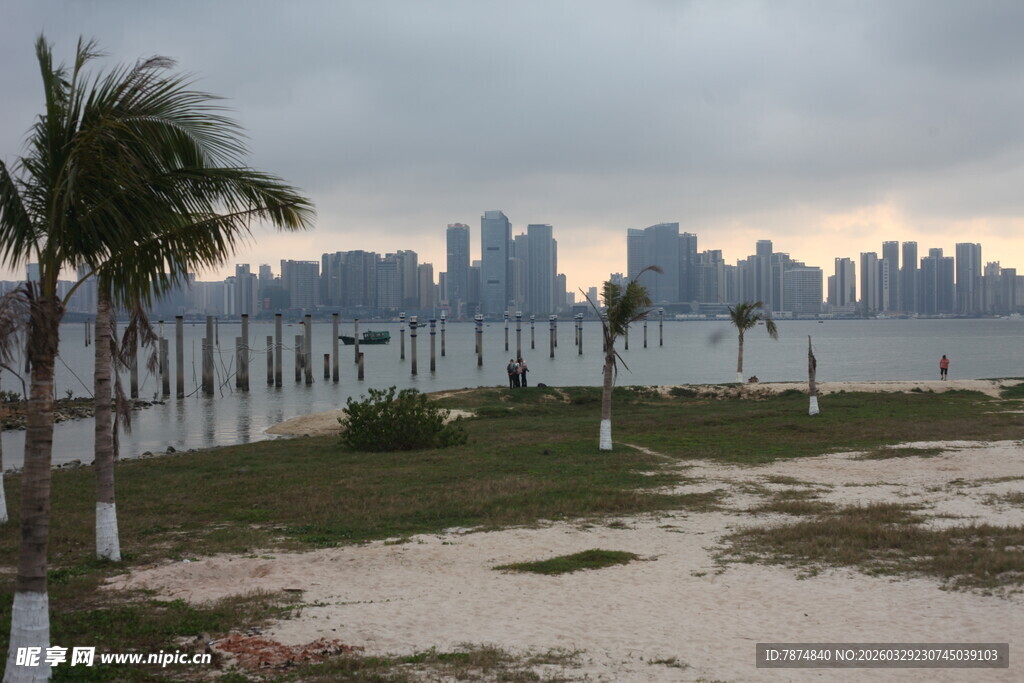 湛江海滨城市与沙滩旁的棕榈树