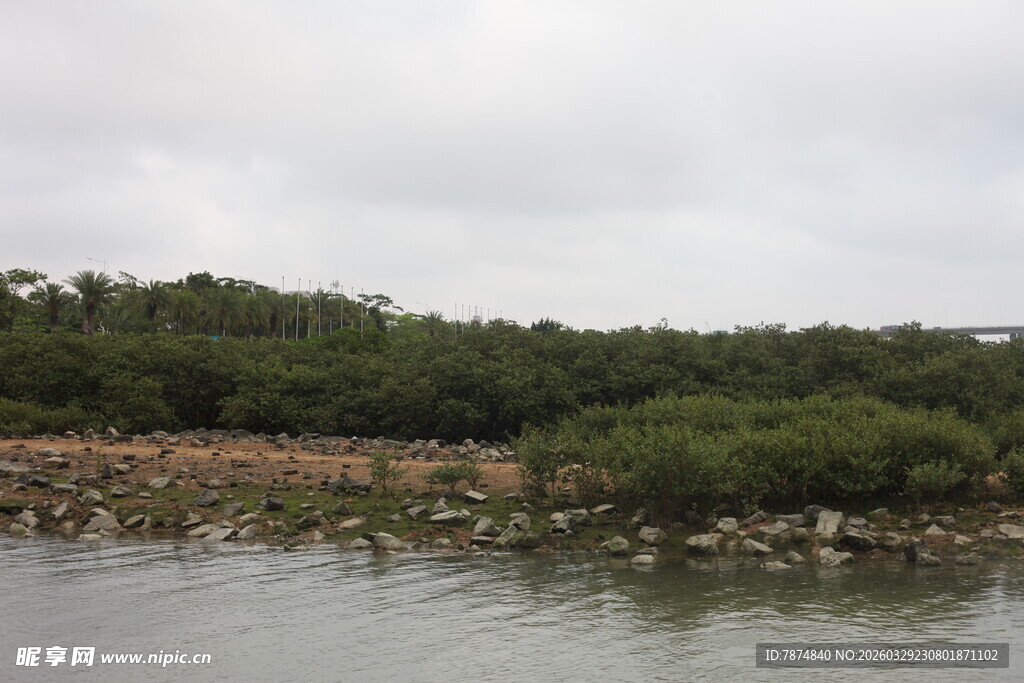 湛江河畔绿植环绕的宁静风光