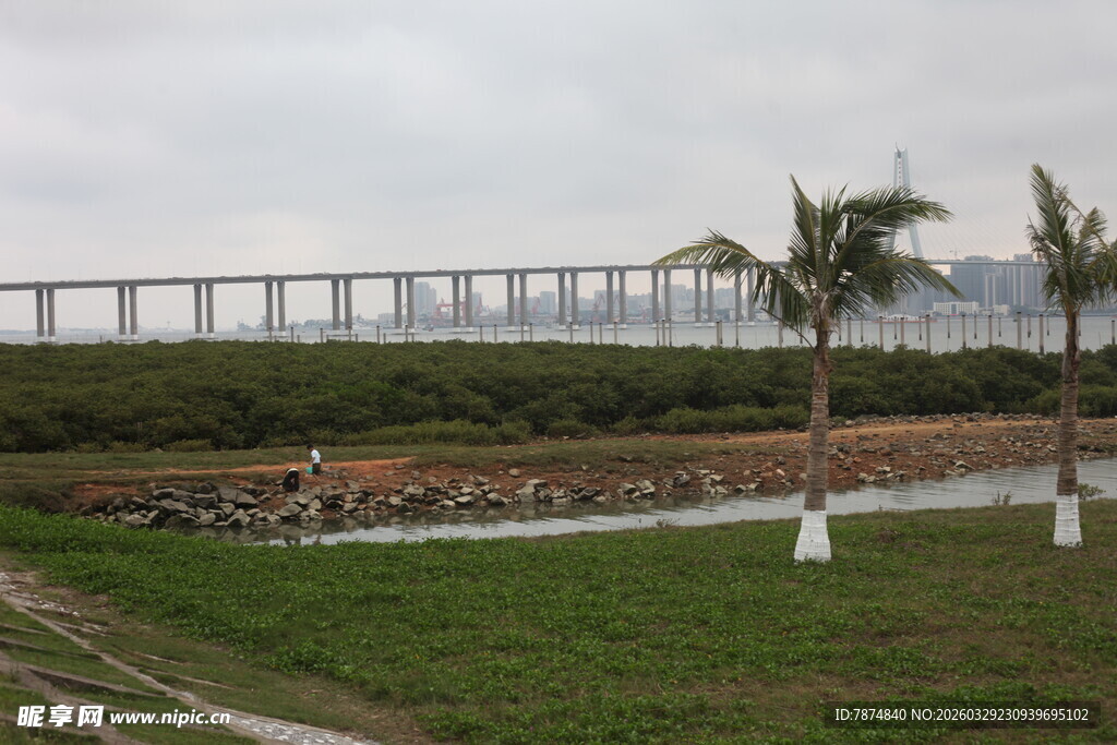 湛江海滨长桥旁的绿植景观
