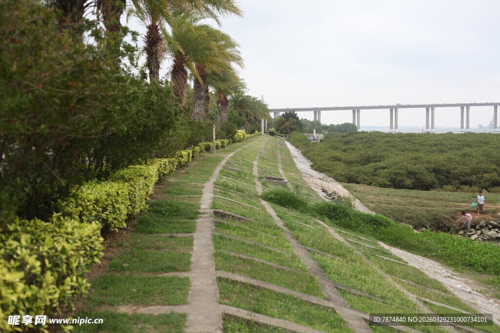 湛江乡间小径与远处桥梁景观