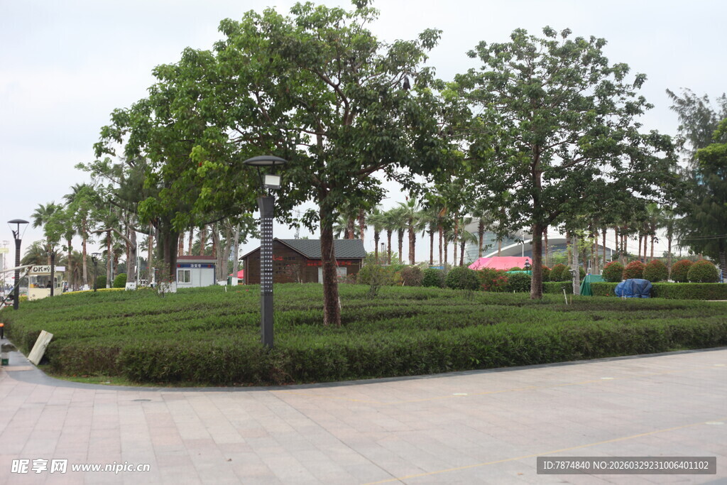 湛江城市街边绿树环绕景观
