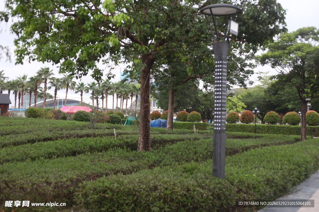 湛江城市绿化带中的路灯景观