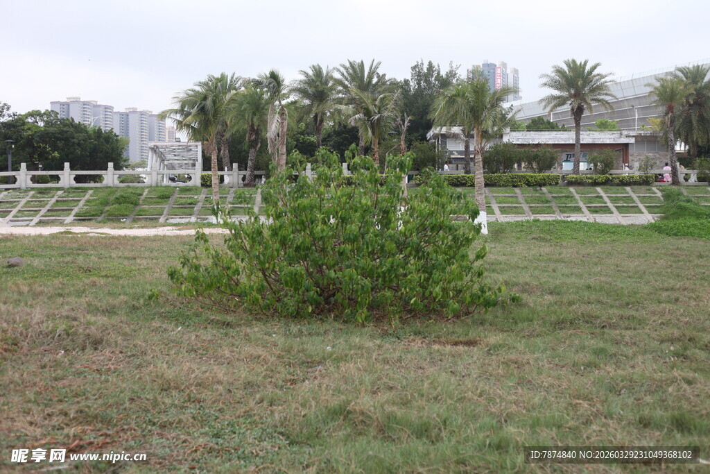 湛江户外草地与白色围栏景观