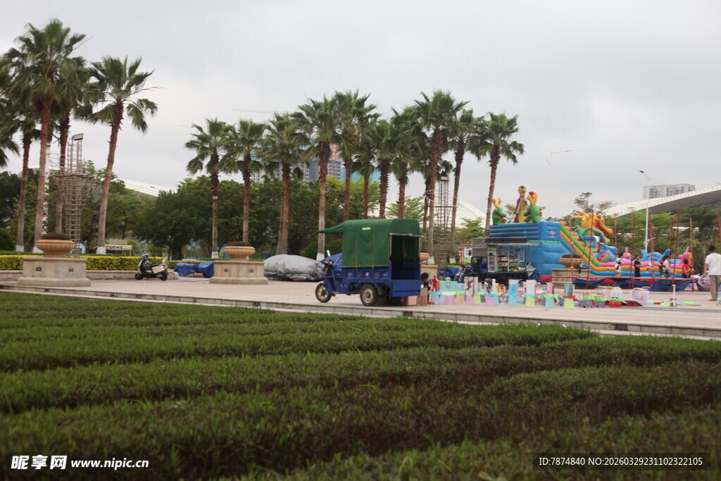 湛江户外休闲场地与棕榈树景观