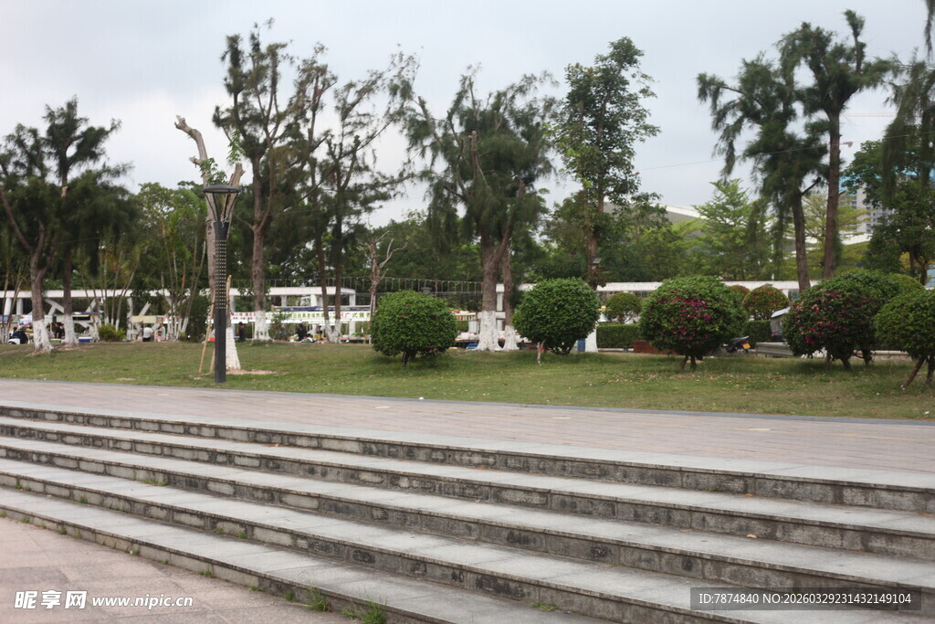 湛江户外阶梯旁的绿树景观