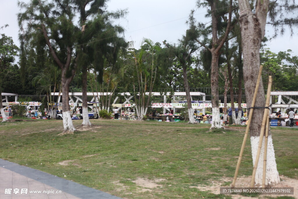 湛江户外停放的多辆白色大巴