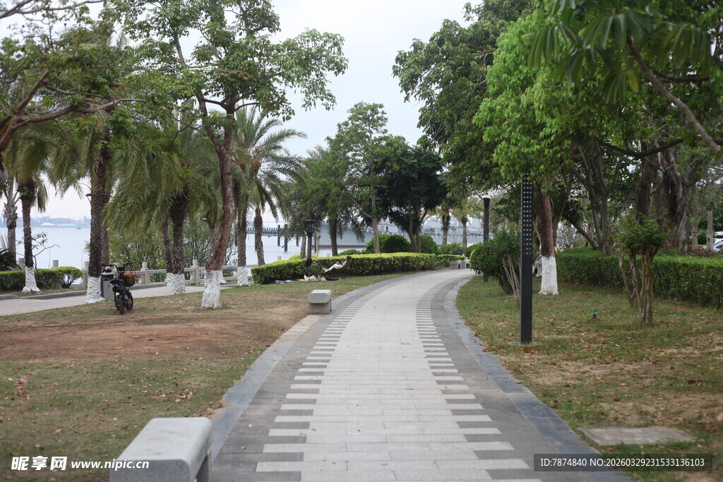湛江林间漫步道 绿意盎然处