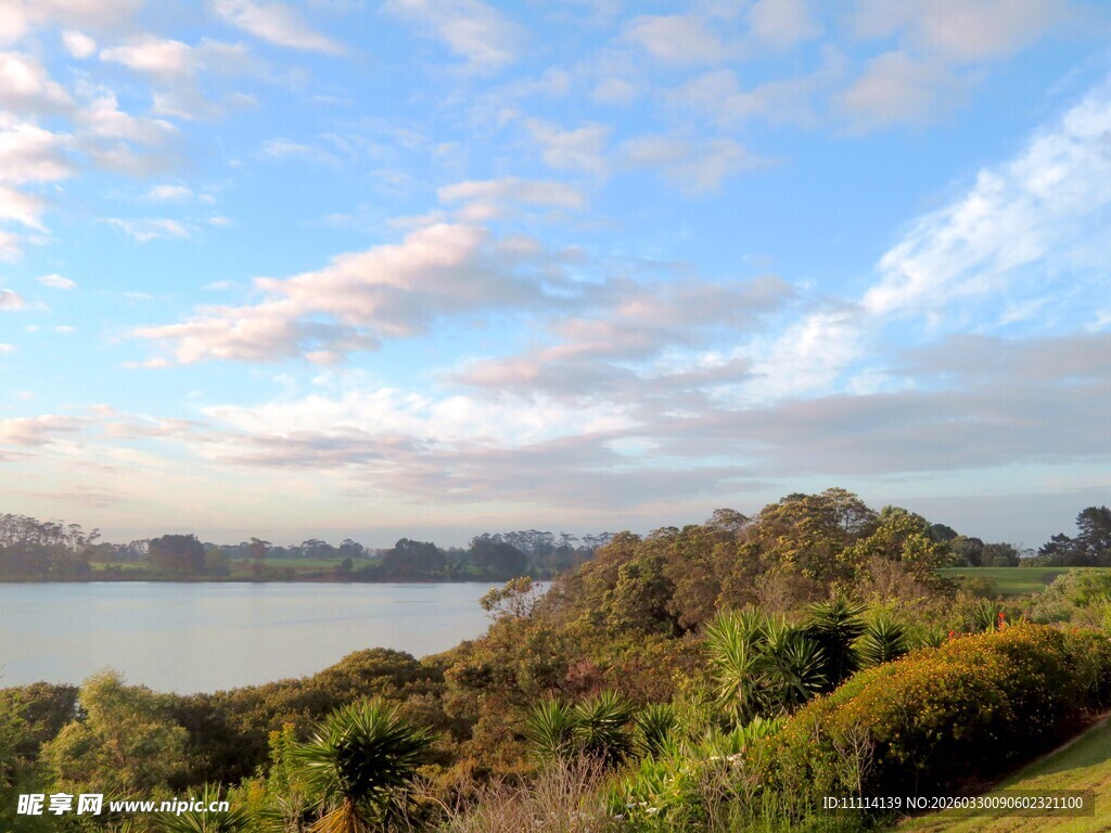 奥克兰海边美丽风光