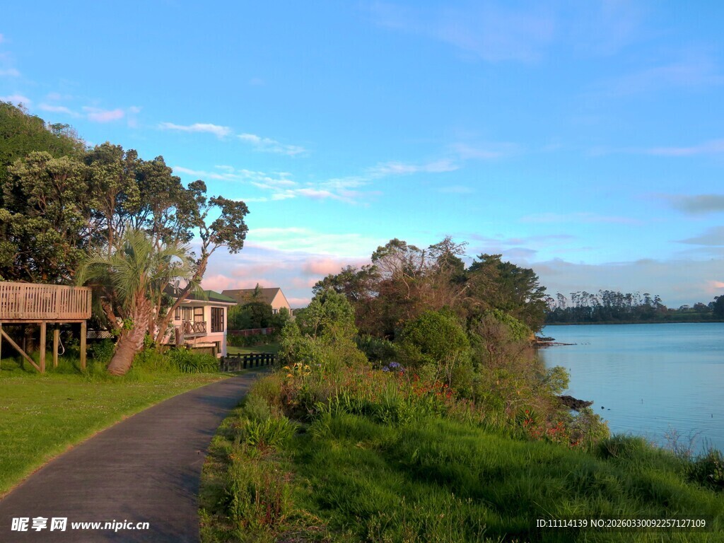 海滨绿荫间的宁静小路