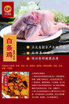 白家兔肉  美味鲜香诱人