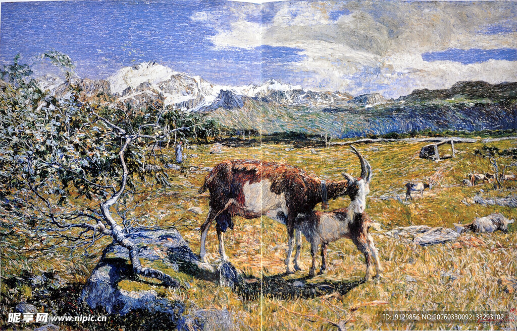 草原上的牛与枯木风景