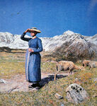 草原牧女与羊群的悠然时光