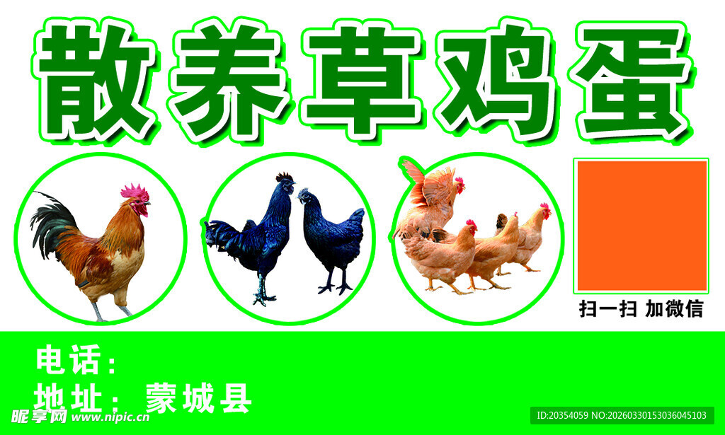 散养草鸡蛋宣传海报