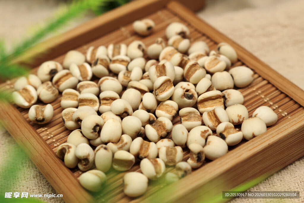 中药薏米五谷杂粮薏苡仁祛湿气