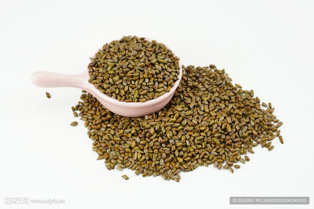 中药材决明子茶